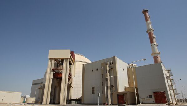 伊朗原子能组织主席称数月内拟在布什尔修建两个新发电机组 - 俄罗斯卫星通讯社