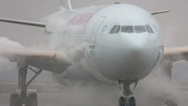 加拿大飞机紧急降落，25人被送往医院 - 俄罗斯卫星通讯社