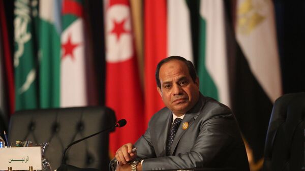 埃及总统阿卜杜勒-法塔赫•塞西 - 俄罗斯卫星通讯社