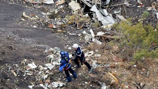 汉莎航空将面临遇难者家属在美国的起诉 - 俄罗斯卫星通讯社