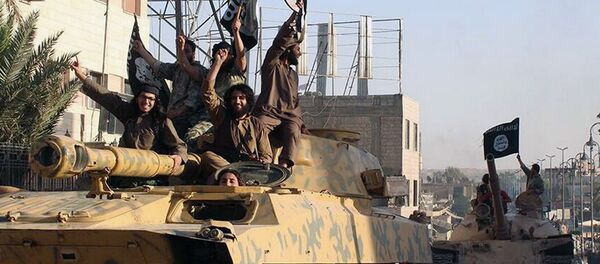 民调：美国的头号威胁是“伊斯兰国” - 俄罗斯卫星通讯社