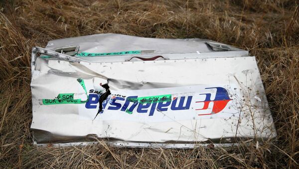 Обломок боинг малазийских авиалиний MH17 - 俄羅斯衛星通訊社