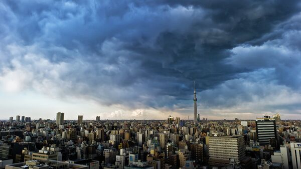 日本政府批准2025财政年度预算方案 - 俄罗斯卫星通讯社