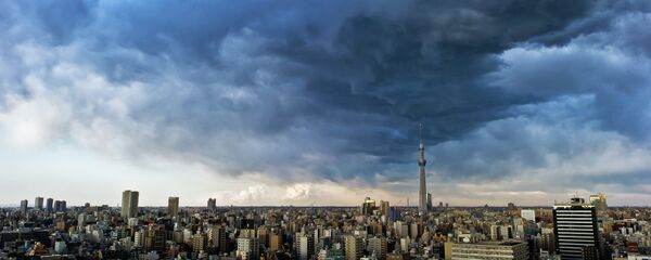 日本东京 日本东京 - 俄罗斯卫星通讯社