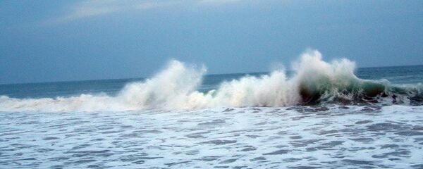 Волна - 俄罗斯卫星通讯社