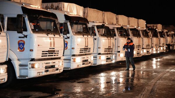 俄紧急情况部长：新一批人道主义救援车队将于1月前往顿巴斯 - 俄罗斯卫星通讯社