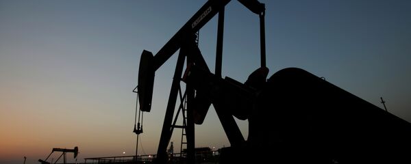 普京:俄罗斯满意每桶60美元的石油价格 普京:俄罗斯满意每桶60美元的石油价格 - 俄罗斯卫星通讯社