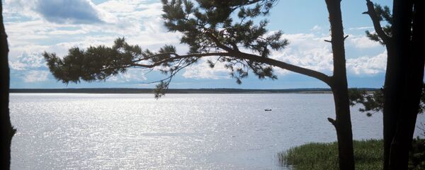阿穆尔河 - 俄罗斯卫星通讯社