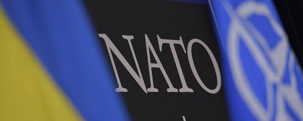 乌克兰最高拉达通过新法 重申加入北约和欧盟意愿 - 俄罗斯卫星通讯社