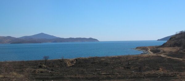 圣三一海湾 圣三一海湾 - 俄罗斯卫星通讯社