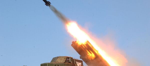 报告:朝拥有千枚弹道导弹 射程可达日本 报告:朝拥有千枚弹道导弹 射程可达日本 - 俄罗斯卫星通讯社