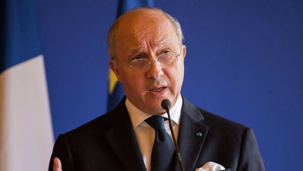 法國外長不排除阿薩德在敘利亞任命臨時政府前繼續當政 - 俄羅斯衛星通訊社
