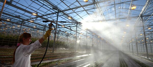 專家:俄車里雅賓斯克州需中國投資幫助建設農作物深加工企業 專家:俄車里雅賓斯克州需中國投資幫助建設農作物深加工企業 - 俄羅斯衛星通訊社