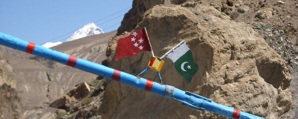 中巴边境地区 - 俄罗斯卫星通讯社