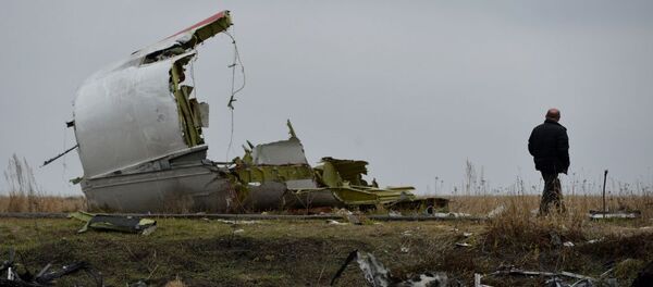 馬來西亞將向馬航MH17失事地點派遣刑偵技術人員 - 俄羅斯衛星通訊社