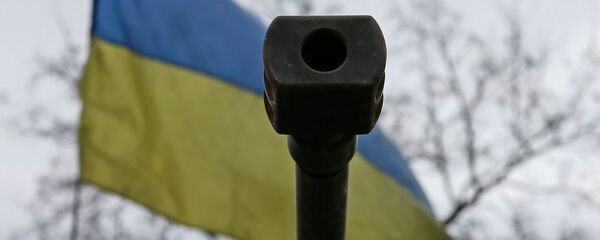 顿涅茨克人民共和国：乌军试验美国侦察系统 - 俄罗斯卫星通讯社