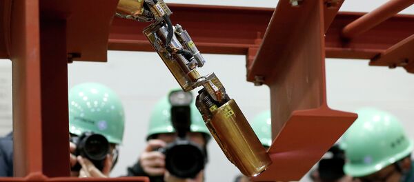 福岛第一核电站工作人员首次着手进行事故反应堆清理工作 - 俄罗斯卫星通讯社