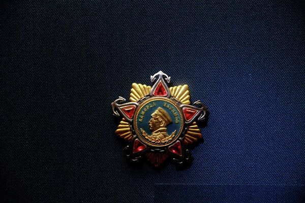 纳希莫夫勋章 - 俄罗斯卫星通讯社
