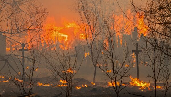 消息人士：哈卡斯大火造成5人死亡約900座房屋受損 - 俄羅斯衛星通訊社
