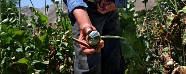 吉尔吉斯斯坦情报部门查扣一批发往独联体国家的阿富汗毒品 - 俄罗斯卫星通讯社