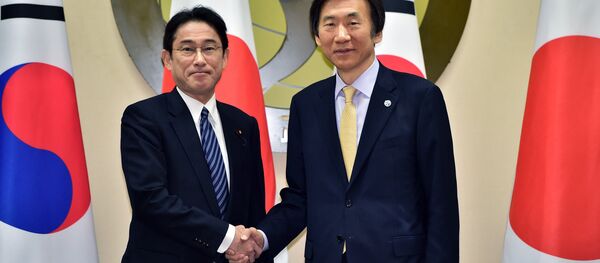 日韩外长会谈将于12月28日在首尔举行 - 俄罗斯卫星通讯社