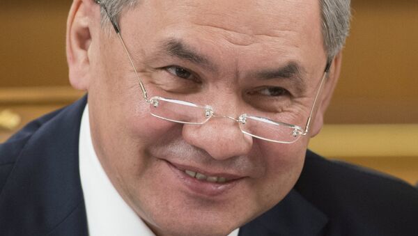 紹伊古歡迎巴基斯坦渴望擴大與俄羅斯的聯繫 - 俄羅斯衛星通訊社