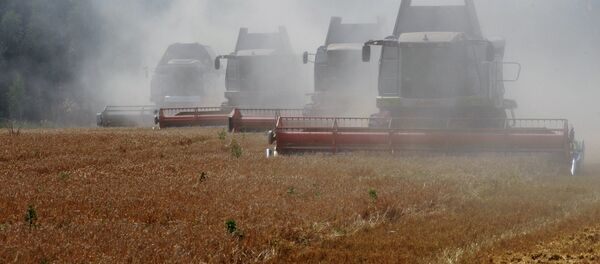 俄猶太自治州將在東方經濟論壇上為中方投資者提出合作項目 - 俄羅斯衛星通訊社