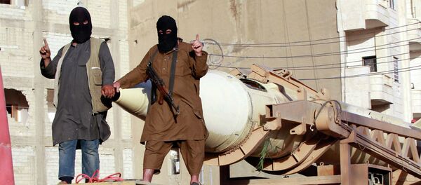 俄代表：“伊斯兰国”渗透中亚国家的企图均被挫败 - 俄罗斯卫星通讯社