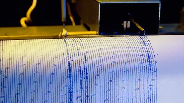 印度尼西亚龙目岛发生6.9级地震 - 俄罗斯卫星通讯社