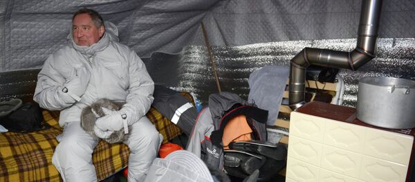 羅戈津 - 俄羅斯衛星通訊社