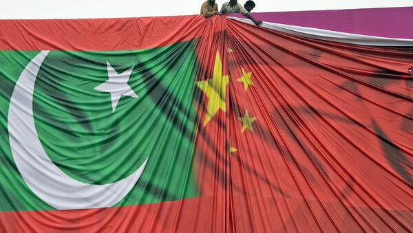 习近平：中国和巴基斯坦是独一无二的全天候战略合作伙伴 - 俄罗斯卫星通讯社