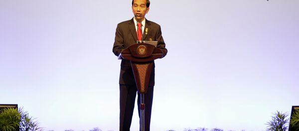 亞非國家領導人呼籲聯合國改革 - 俄羅斯衛星通訊社