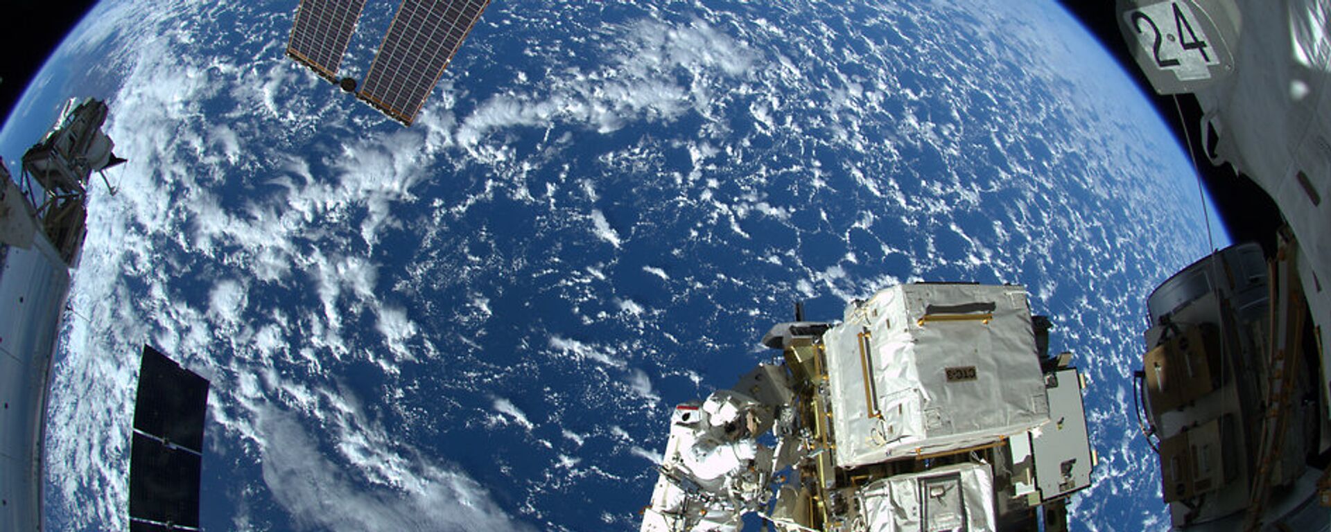 NASA：国际空间站考察组首次在太空收获白菜 - 俄罗斯卫星通讯社, 1920, 18.02.2017