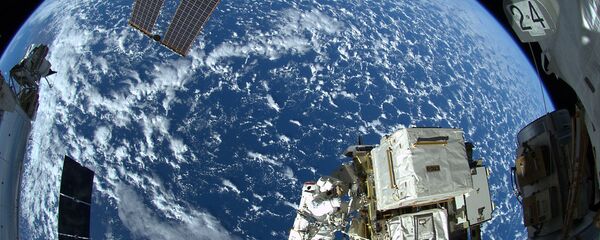 NASA：國際空間站考察組首次在太空收穫白菜 - 俄羅斯衛星通訊社