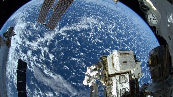 NASA：國際空間站考察組首次在太空收穫白菜 - 俄羅斯衛星通訊社