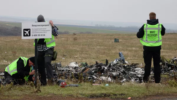媒體：馬航MH17失事前柏林已獲知飛越烏克蘭上空有風險 - 俄羅斯衛星通訊社