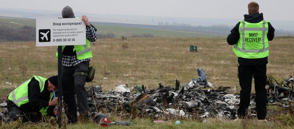 俄政治学家：就马航空难设立国际法庭会无端指向责任人 - 俄罗斯卫星通讯社