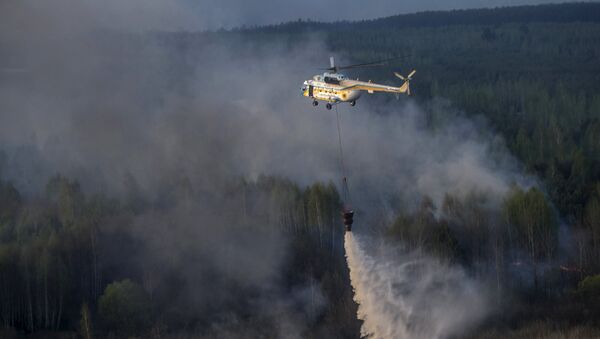切爾諾貝利核電站隔離區內的火災已被撲滅 - 俄羅斯衛星通訊社