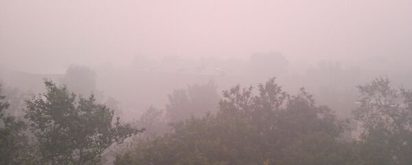 俄科學家正在研制一種防治霧霾的多功能催化劑 - 俄羅斯衛星通訊社