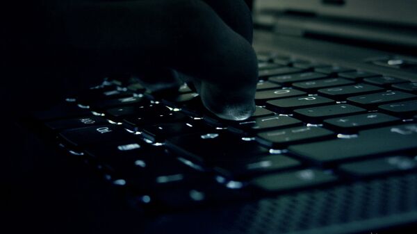 挪威 12 个部委网站遭黑客攻击 - 俄罗斯卫星通讯社