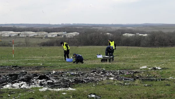 馬來西亞總理：對MH17航班墜機原因的調查將延長至本年底 - 俄羅斯衛星通訊社