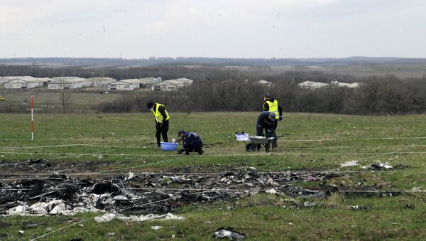 俄航空署準備批駁荷蘭就馬航客機墜毀的調查報告草案 - 俄羅斯衛星通訊社