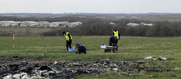 顿涅茨克共和国称发现马航MH17坠毁时乌防空导弹的位置 顿涅茨克共和国称发现马航MH17坠毁时乌防空导弹的位置 - 俄罗斯卫星通讯社