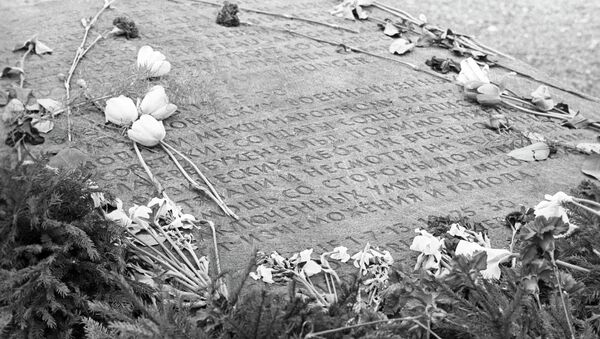 德國總統：蘇聯戰俘在德國大量死亡至今仍被低調處理 - 俄羅斯衛星通訊社