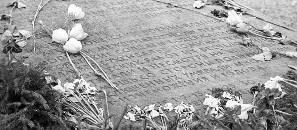 德國總統：蘇聯戰俘在德國大量死亡至今仍被低調處理 - 俄羅斯衛星通訊社