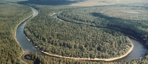 内蒙古自治区：呼伦贝尔将与俄蒙两国加强生态系统保护合作 - 俄罗斯卫星通讯社