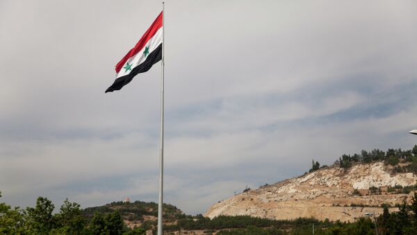 敘利亞反對派與會者呼籲成立小組制定國家新憲法 - 俄羅斯衛星通訊社