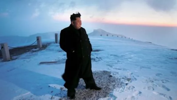 中國專家：金正恩放棄出席俄紀念二戰活動或因俄朝合作等原因 - 俄羅斯衛星通訊社