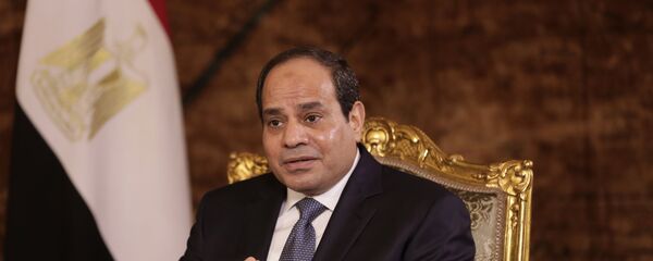 埃及总统阿卜杜勒－法塔赫·塞西 - 俄罗斯卫星通讯社