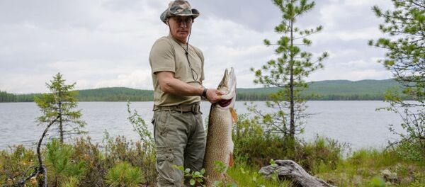普京成活廣告 用過的漁具銷量翻番 - 俄羅斯衛星通訊社